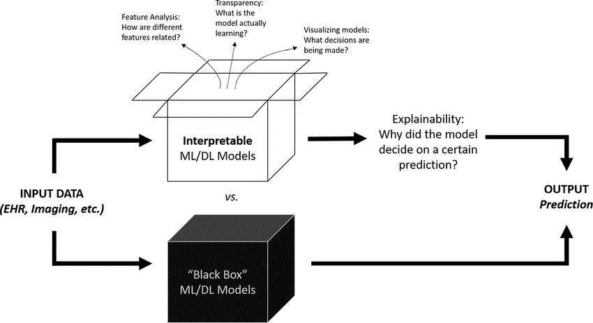 Navigating Algorithmic Bias in Healthcare AI: The Imperative for ...